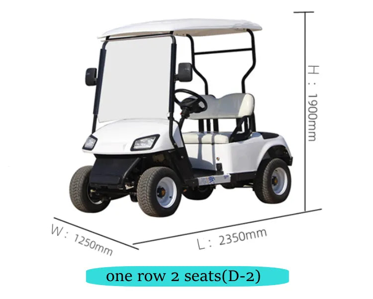 2022 Electric golf cart with lithium battery Al Super